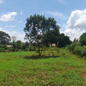 2 Plots Of Land Of 50x100ft Each For Sale In Gayaza At 60m Ugx Each