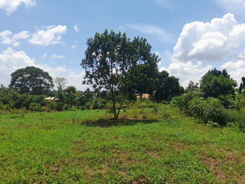 2 Plots Of Land Of 50x100ft Each For Sale In Gayaza At 60m Ugx Each